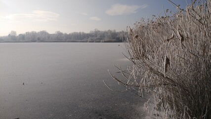 Zugefrorene Landschaft im Winter an einem See in Wien