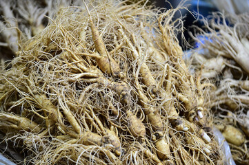 Fresh Ginseng in Jinan-gun, South Korea.