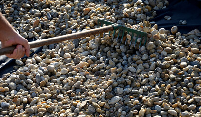 delivery of gray river pebbles like mulch to flower beds in the garden using a wheelbarow from the...