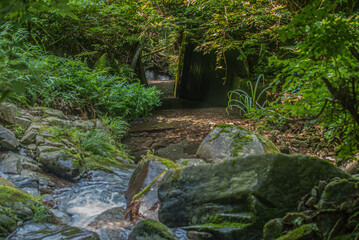 兵庫県・古い砂防ダムに重なる岩石に流れる沢
