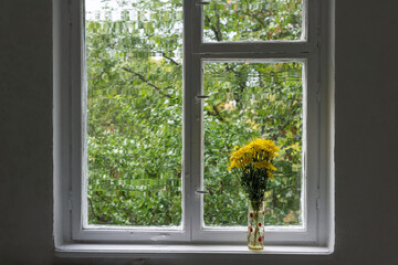 bouquet of yellow flowers on a white window. Natural floral minimalism