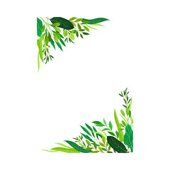 Frame Corners with Green Leaves or Foliage Vector Illustration