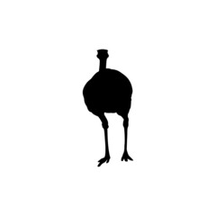 ostrich icon vector logo