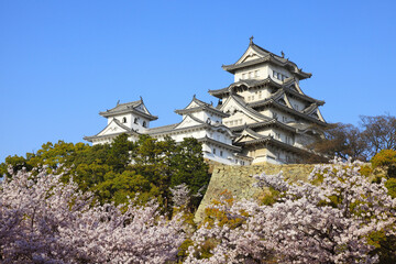 Naklejka premium 姫路城