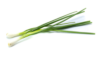 Fototapeta premium Bunching Onion on white background