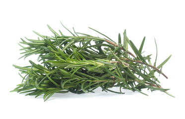 rosemary isolated on white background