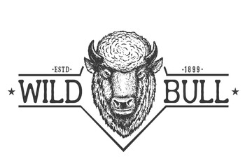 Wild bull © Galacticus