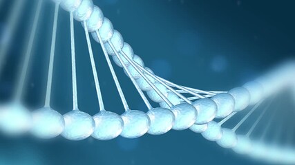 DNA is a nucleic acid molecule that stores and transmits genetic information of a living organism - Powered by Adobe