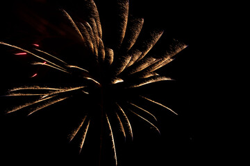 fireworks in the night sky