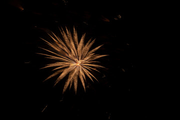 fireworks in the night sky