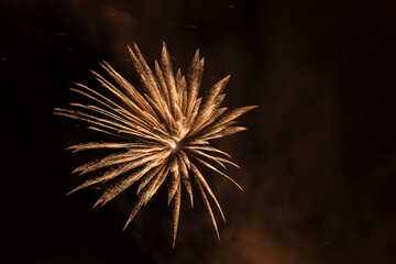 fireworks in the night sky