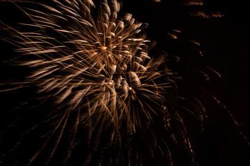 fireworks in the night sky