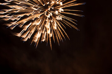 Naklejka premium fireworks in the night sky