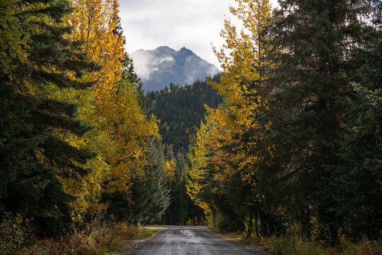 Forest service road in Alaskan mountains