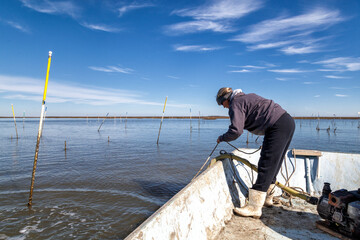 Clamming in Bull's Bay with Julie McClellan, Erwin Ashley and George Couch.