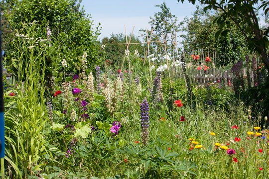 bl&uuml;hender Bauerngarten im Sommer