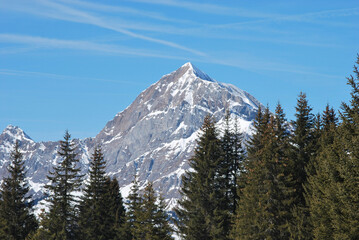 snow covered mountains