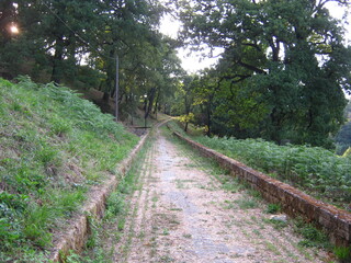 Viale Villa Comunale