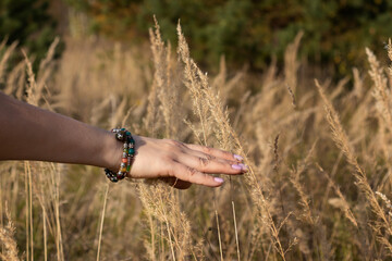 hand with wheat