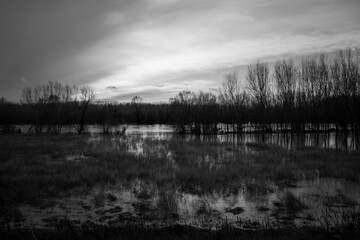 Po river in Mantova