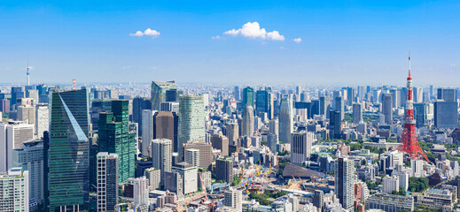 Fototapeta premium 東京タワーと高層ビル群 ワイド
