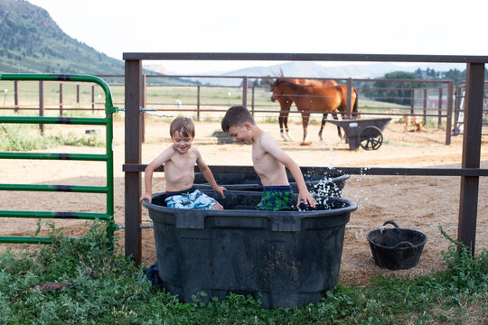 Boys playing in horse trough with horses watching
