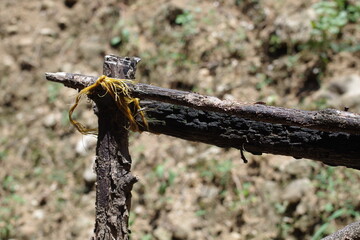A knot on a Wooden Fence