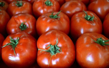 Red tomatoes. Fresh tomatoes  as  background. Top view. Group of tomatoes.