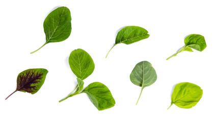 spinach isolated on white background clipping path