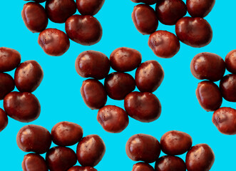 Solid chestnuts pattern on blue background