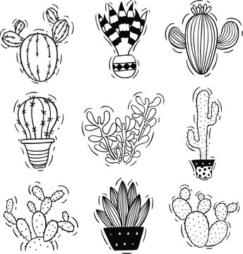 set of cute cactus with hand draw or doodle style