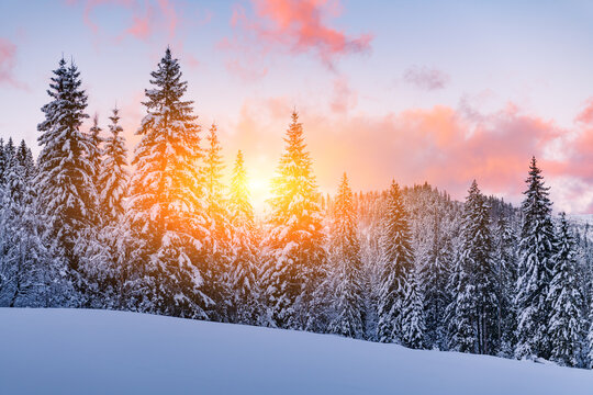 Fantastic orange winter landscape in snowy mountains glowing by sunlight. Dramatic wintry scene with snowy trees. Christmas holiday background