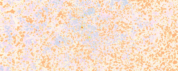 Bright Forest Decor. Blue Plant Print. Orange Silky Texture. Pink Stylish Poster. Pastel Exotic Template. White Fantasy Banner. Bright Abstract Background.