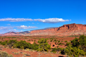 Capitol Reef Viewpoint