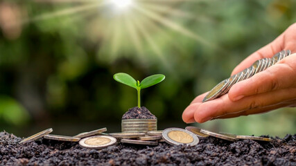 A green tree growing on a pile of coins and a hand that sends coins to the tree with the concept of economic and financial growth.