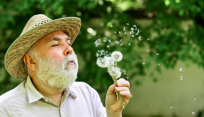 Nice bouquet. concept of baldness and hair loss. happy and carefree retirement. grandpa farmer....