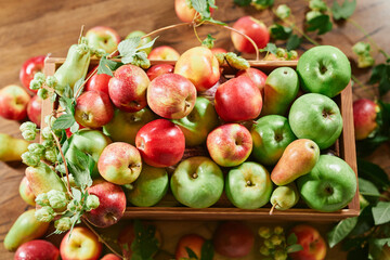 Fresh green and red apples with leaves in a box on a wooden table, top view. Harvest concept.