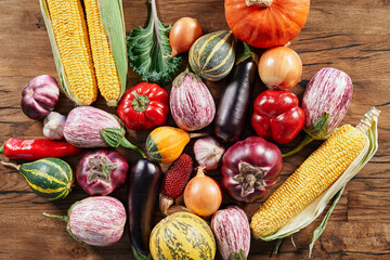 Organic colored vegetables. Freshly harvested vegetables on a wooden table: yellow corn, red pepper, orange pumpkin, eggplants, tomato, onion, garlic. Above harvesting concept photo.