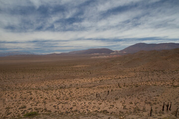 Desolated valley. View of the arid desert, sand, colorful hills and vegetation under a beautiful sky.