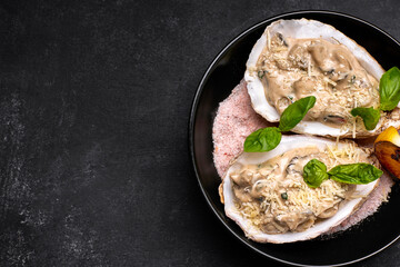 Rapana meat in a creamy cheese sauce in a shell, on a plate, on a dark background