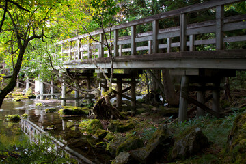 日光・湯ノ湖畔　国立公園内にある湯ノ湖一周ハイキング