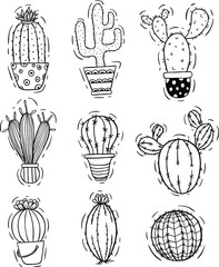 cute cactus hand draw
