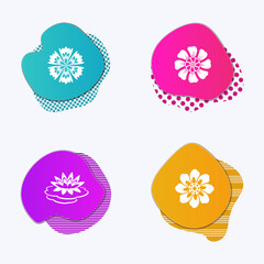 Flower icons set on liquid colored badges. Waterlily, orchid, daisy chamomile. Spring and summer flowers. Floral modern symbols. Vector isolated - 383539111