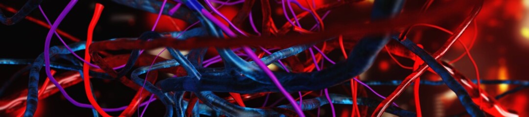 Blood vessels. Circulatory system. Veins and arteries. Abstraction, 3D rendering