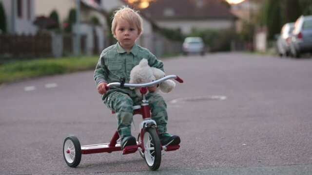 Toddler child, blond boy, riding tricycle in a village small road on sunset with teddy bear