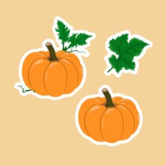 Vector set with cartoon orange pumpkin and green leaves. Collection of autumn vegetables stickers, tags, label. Fall pumpkins for cutting, print, for Halloween party, Thanksgiving day design.