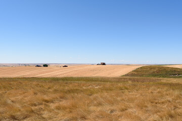 Fototapeta na wymiar prairie farming landscape out in the field