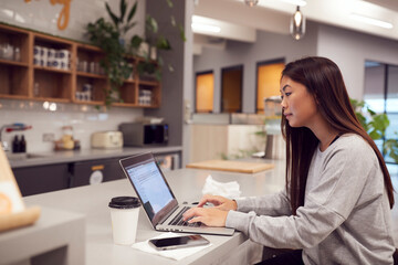 Fototapeta na wymiar Businesswoman Working On Laptop In Kitchen Area Of Modern Office