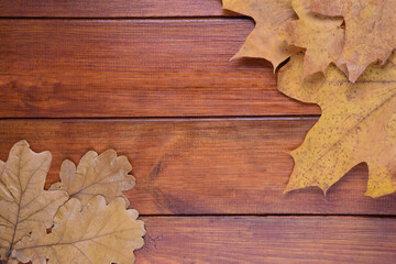 Oak and maple leaves lie on a brown wooden background. In the center there is a place for an inscription