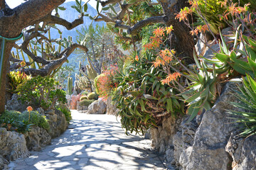 Exotic garden in Monaco, scenic path.